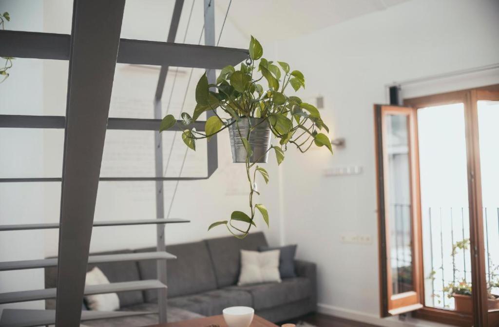 Trigo Homes Cordoue Extérieur photo